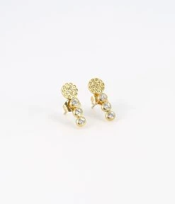 Boucles D'oreilles Aerin (Acier Doré)