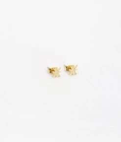 Boucles D'oreilles Puces Isaac (Acier Doré)