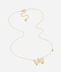 Collier Farfalla (Acier Doré) -Zagbijoux Boutique SNS20045 01SEL WEB