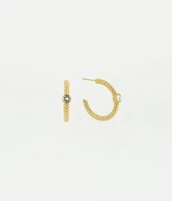 Boucles D'oreilles Cassy (Acier Doré)