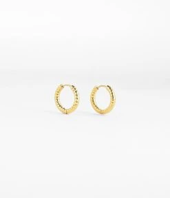 Boucles D'oreilles Hydra (Acier Doré)