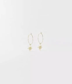 Boucles D'oreilles Magellan (Acier Doré)